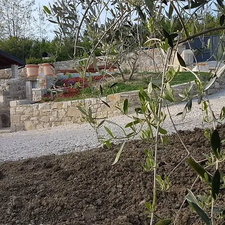 Villa Holiday Cartolina *